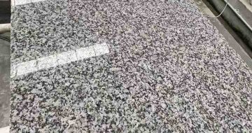 烟台 芙蓉白光面