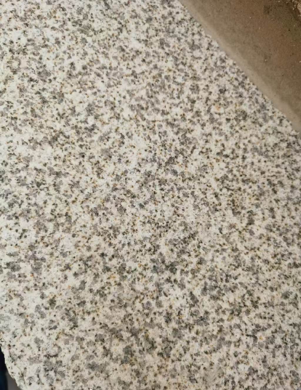 烟台 黄金麻中黄光面