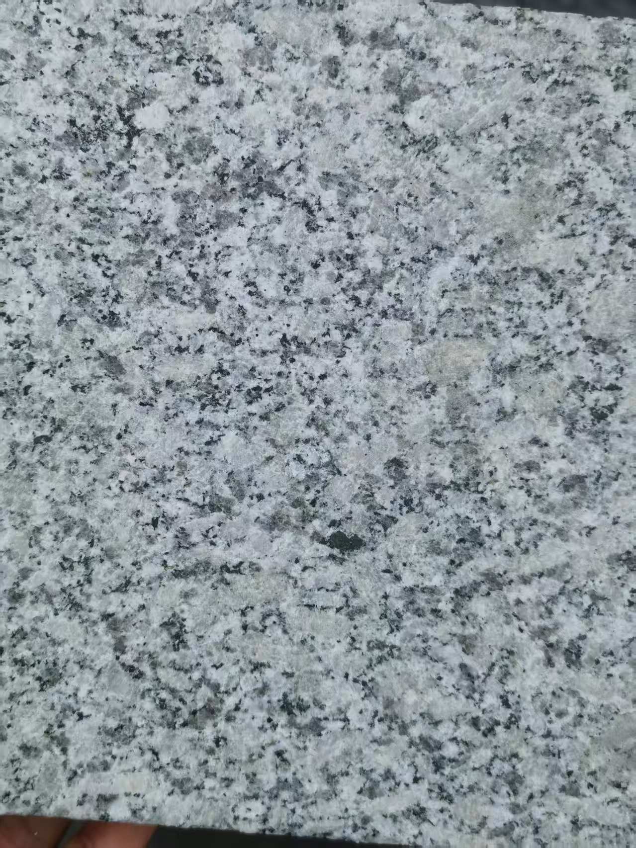 烟台 芙蓉白火烧面