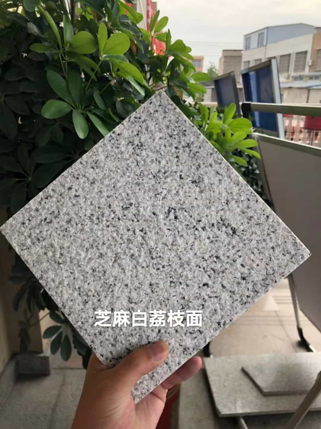 烟台 芝麻白荔枝面干挂