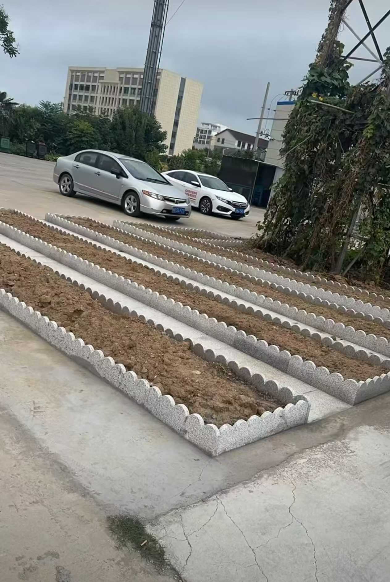 烟台 花边石、花围石、花园石安装效果